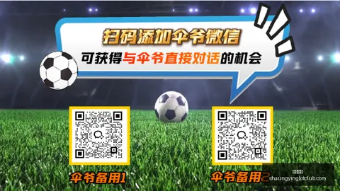 双赢彩票，彩票平台， 051703 3